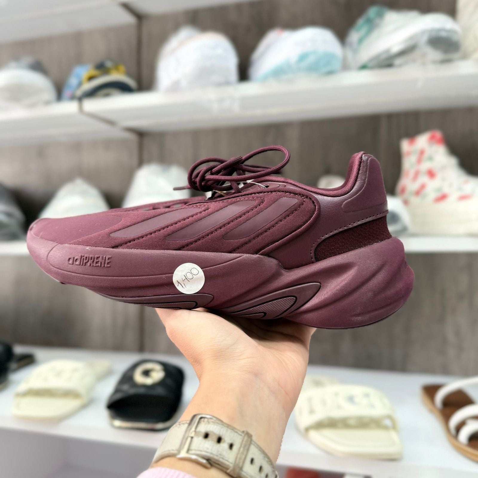 ADIDAS OZELIA VINO